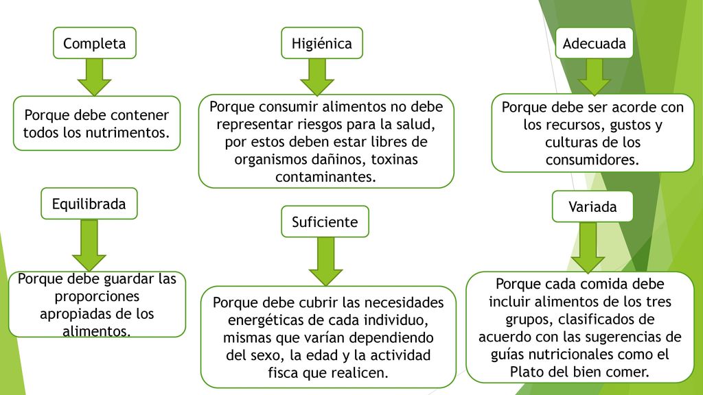 Cual es la importancia de una dieta correcta para la salud Cual es la importancia de una dieta correcta para la salud